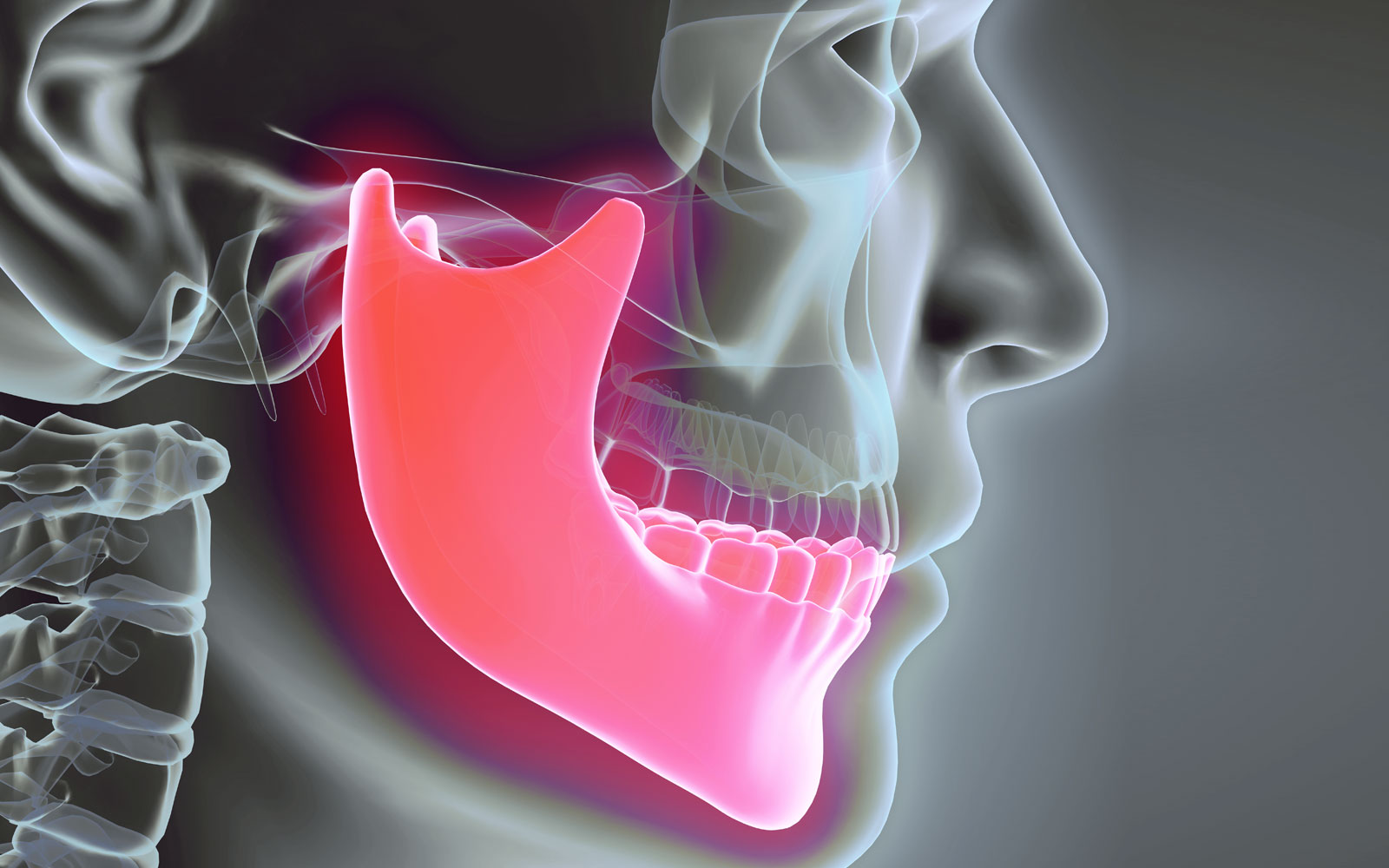 human-jaw-bone-stock-image-f016-2970-science-photo-library